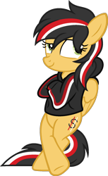 Size: 1009x1647 | Tagged: safe, artist:pegasski, imported from derpibooru, oc, oc only, oc:aurelian, pegasus, pony, bipedal, bipedal leaning, clothes, female, hoodie, leaning, mare, simple background, solo, transparent background