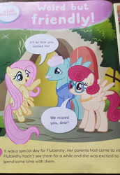 Size: 412x600 | Tagged: safe, imported from derpibooru, fluttershy, gentle breeze, posey shy, official comic