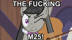 Size: 3840x2160 | Tagged: safe, imported from derpibooru, screencap, octavia melody, angry, arthur, bow (instrument), cello, meme, musical instrument, swearing, vine, vulgar, wince