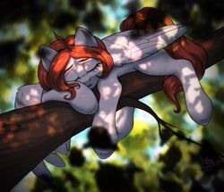 Size: 2048x1760 | Tagged: safe, artist:amishy, imported from derpibooru, oc, oc only, oc:weathervane, pegasus, pony, dappled sunlight, eyes closed, pegasus oc, sleeping, solo, tree, tree branch, wings