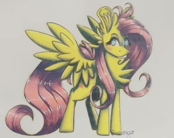 Size: 1080x854 | Tagged: safe, artist:xneodrago, imported from derpibooru, fluttershy, pegasus, pony, blushing, chest fluff, ear fluff, eyelashes, female, mare, signature, solo, traditional art, wings