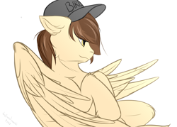 Size: 1400x1000 | Tagged: safe, artist:snowstormbat, imported from derpibooru, oc, oc only, oc:zaylem, pegasus, pony, baseball cap, cap, flying, hat, male, my little pony, solo, stallion