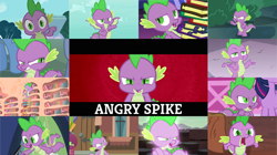 Size: 1280x719 | Tagged: safe, edit, edited screencap, editor:quoterific, imported from derpibooru, screencap, spike, twilight sparkle, alicorn, dragon, pony, dragon quest, every little thing she does, flutter brutter, gauntlet of fire, it ain't easy being breezies, just for sidekicks, lesson zero, molt down, owl's well that ends well, ppov, rarity takes manehattan, season 1, season 2, season 3, season 4, season 6, season 8, simple ways, the break up breakdown, spoiler:s08, angry, book, crossed arms, cute, female, ladder, madorable, male, mare, offscreen character, open mouth, spike is not amused, stallion, twilight sparkle (alicorn), twilight's castle, unamused, winged spike, wings