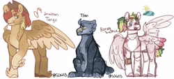 Size: 5024x2267 | Tagged: safe, artist:sallyqwest623, imported from derpibooru, oc, oc only, oc:honey suckle, oc:jonathan tango, oc:titan, hybrid, pegasus, pony, adopted offspring, bandaid, cowboy hat, feathered fetlocks, female, freckles, hat, high res, male, mare, offspring, one wing out, parent:big macintosh, parent:fluttershy, parents:fluttermac, siblings, simple background, stallion, straw in mouth, white background, wings