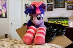 Size: 1800x1200 | Tagged: safe, artist:fluttershyhiker, artist:natureshy, artist:qtpony, imported from derpibooru, twilight sparkle, pony, bow, clothes, hair bow, heart eyes, irl, photo, plushie, socks, solo, striped socks, wingding eyes