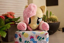 Size: 1280x854 | Tagged: safe, artist:fluttershyhiker, artist:natureshy, imported from derpibooru, fluttershy, pony, irl, photo, plushie, solo