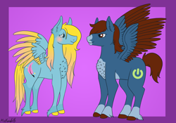 Size: 5310x3725 | Tagged: safe, artist:misskanabelle, imported from derpibooru, oc, oc only, pegasus, pony, abstract background, colored hooves, duo, female, hoof fluff, male, mare, pegasus oc, signature, stallion, two toned wings, wings