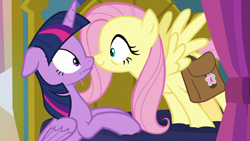 Size: 1920x1080 | Tagged: safe, imported from derpibooru, screencap, fluttershy, twilight sparkle, alicorn, pegasus, pony, a health of information, season 7, boop, duo, duo female, female, floppy ears, mare, nose wrinkle, noseboop, out of context, smiling, spread wings, twilight sparkle (alicorn), wings
