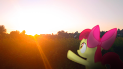 Size: 1920x1080 | Tagged: safe, artist:japkozjad, imported from derpibooru, apple bloom, earth pony, amateur, irl, photo, sunset, warm