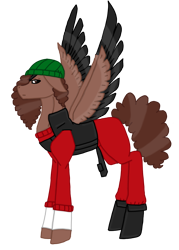 Size: 2575x3603 | Tagged: safe, artist:agdapl, imported from derpibooru, pegasus, pony, clothes, crossover, demoman, female, hat, high res, mare, ponified, rule 63, species swap, team fortress 2, vest