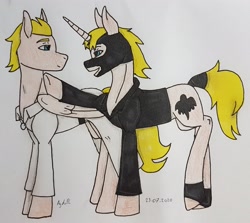 Size: 2861x2554 | Tagged: safe, artist:agdapl, imported from derpibooru, pegasus, pony, unicorn, clothes, crossover, duo, high res, horn, looking back, male, mask, medic, ponified, signature, species swap, spy, team fortress 2, traditional art, wings