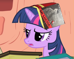 Size: 626x501 | Tagged: safe, edit, imported from ponybooru, twilight sparkle, adolf hitler, book, nazi, spanish, swastika