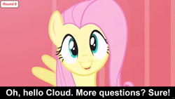 Size: 1920x1080 | Tagged: safe, edit, edited screencap, imported from derpibooru, screencap, fluttershy, pegasus, pony, comic:celestia's servant interview, putting your hoof down, caption, cs captions, female, interview, looking at you, mare, smiling, solo, text