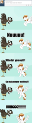 Size: 1280x4897 | Tagged: safe, artist:spectty, imported from derpibooru, oc, oc:coffee cream, oc:spectty, pegasus, angry, ask, caption, flying, image macro, lol, male, pegasus oc, stallion, striped tail, text, tumblr, two toned mane, unexpected, wings