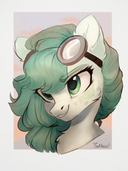 Size: 810x1080 | Tagged: safe, artist:sofiko-ko, imported from derpibooru, oc, oc only, pony, bust, solo