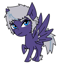 Size: 1359x1499 | Tagged: safe, artist:smilesupsidedown, imported from derpibooru, oc, oc only, pegasus, pony, feathered fetlocks, male, pegasus oc, raised hoof, simple background, smiling, solo, stallion, transparent background, wings