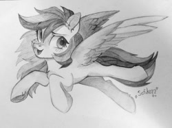 Size: 962x721 | Tagged: safe, artist:sofiko-ko, imported from derpibooru, rainbow dash, pegasus, pony, sketch, solo