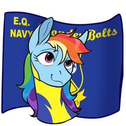 Size: 700x700 | Tagged: safe, artist:malphym, edit, editor:hotkinkajou, rainbow dash, pegasus, pony, bust, clothes, female, mare, pride, simple background, solo, transparent background, uniform, unofficial edits thread, wonderbolts uniform