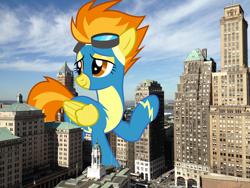 Size: 2400x1800 | Tagged: safe, artist:dashiesparkle, artist:thegiantponyfan, imported from derpibooru, spitfire, pegasus, pony, brooklyn, clothes, female, giant pony, giantess, high res, highrise ponies, irl, macro, mare, new york, photo, ponies in real life, story included, uniform, wonderbolts uniform