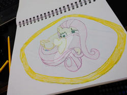 Size: 400x300 | Tagged: safe, artist:dougtheloremaster, imported from derpibooru, fluttershy, pegasus, pony, deviantart watermark, frightened, hiding behind tail, nervous, obtrusive watermark, pencil, pencil drawing, photo, scared, sketchpad, timid, traditional art, watermark