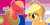 Size: 1000x500 | Tagged: safe, artist:prideponies, edit, edited screencap, imported from derpibooru, screencap, applejack, big macintosh, earth pony, pony, applecest, applemac, bigender, bigender pride flag, bisexual, bisexual pride flag, brother and sister, female, headcanon, incest, male, mare, pride, pride flag, shipping, shipping domino, siblings, stallion, straight