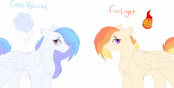 Size: 1280x651 | Tagged: safe, artist:glorymoon, imported from derpibooru, oc, oc only, oc:cool breeze, oc:firelight, pegasus, pony, female, magical lesbian spawn, mare, offspring, parent:applejack, parent:rainbow dash, parents:appledash, simple background, white background