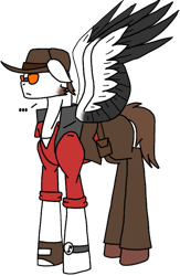 Size: 489x749 | Tagged: safe, artist:agdapl, imported from derpibooru, pegasus, pony, bag, clothes, crossover, hat, male, pants, ponified, saddle bag, simple background, sniper, solo, species swap, stallion, team fortress 2, transparent background, two toned wings, wings