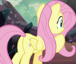 Size: 971x824 | Tagged: safe, imported from derpibooru, screencap, fluttershy, pegasus, pony, season 9, sweet and smoky, spoiler:s09, butt, female, flutterbutt, mare, plot, raised hoof, solo