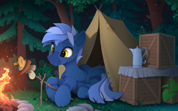 Size: 2510x1575 | Tagged: safe, artist:yakovlev-vad, imported from derpibooru, oc, oc only, oc:dark straw, pony, zebra, campfire, carrot, cozy, fire, food, forest, herbivore, lacrimal caruncle, lying down, male, mushroom, night, patreon, patreon reward, prone, skewer, slim, solo, stallion, sternocleidomastoid, tent, thin, tree, zebra oc