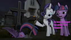 Size: 1920x1080 | Tagged: safe, imported from derpibooru, rarity, twilight sparkle, alicorn, 3d, alicorn drama, burying, drama, old drama, op is a duck, op is trying to start shit, op is trying too hard, shovel, source filmmaker, text, twilight sparkle (alicorn)