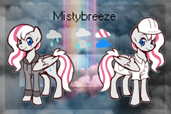 Size: 3000x2000 | Tagged: safe, artist:doukz, imported from derpibooru, oc, oc only, oc:misty breeze, pegasus, pony, clothes, female, high res, hoodie, mare, pegasus oc, reference sheet, solo, weather factory uniform, wings