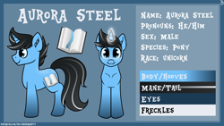 Size: 5760x3240 | Tagged: safe, artist:sevenserenity, imported from derpibooru, oc, oc only, oc:auora steel, pony, unicorn, absurd resolution, book, horn, male, reference sheet, solo, stallion, unicorn oc