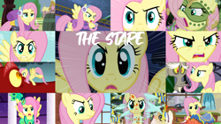 Size: 1280x721 | Tagged: safe, edit, edited screencap, editor:quoterific, imported from derpibooru, screencap, basil, discord, fluttershy, bee, draconequus, dragon, flash bee, insect, pegasus, pony, a health of information, bats!, best gift ever, dragonshy, dungeons and discords, flutter brutter, keep calm and flutter on, make new friends but keep discord, princess twilight sparkle (episode), putting your hoof down, season 1, season 2, season 3, season 5, stare master, sweet and smoky, the cutie re-mark, alternate timeline, badass, chrysalis resistance timeline, close-up, clothes, collage, dress, eyebrows, flutterbadass, gala dress, stare, the stare, tribalshy