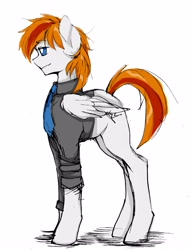 Size: 1958x2560 | Tagged: safe, artist:tripledevour, imported from derpibooru, oc, oc only, oc:felix gulfstream, pegasus, clothes, high res, male, pegasus oc, stallion, wings