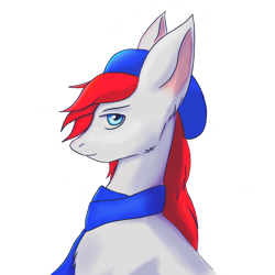 Size: 2480x2480 | Tagged: safe, artist:wingtip, imported from derpibooru, oc, oc only, oc:apex soundwave, earth pony, pony, aside glance, bust, earth pony oc, high res, looking at you, male, sideways glance, simple background, smiling, smirk, solo, stallion, transparent background