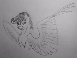 Size: 2922x2230 | Tagged: safe, artist:crazyaniknowit, imported from derpibooru, scootaloo, pony, bust, high res, monochrome, portrait, solo, traditional art