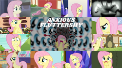 Size: 1280x720 | Tagged: safe, edit, edited screencap, editor:quoterific, imported from derpibooru, screencap, angel bunny, fluttershy, harry, pegasus, pony, a bird in the hoof, buckball season, fame and misfortune, filli vanilli, friendship is magic, griffon the brush off, hurricane fluttershy, magic duel, magical mystery cure, scare master, season 1, season 2, season 4, sounds of silence, the cutie map, the return of harmony, hair over one eye