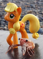 Size: 1707x2352 | Tagged: safe, artist:dingopatagonico, imported from derpibooru, applejack, crab, pony, irl, photo, toy