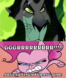 Size: 1717x2039 | Tagged: safe, imported from derpibooru, pinkie pie, big cat, lion, my little pony: pony life, pie vs. pie, angry, angry pinkie pie, beating, exploitable meme, grrrr, indonesia, meme, pinkie pie is not amused, pinkie rage, rage, scar (the lion king), unamused