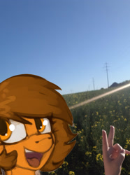 Size: 2592x3486 | Tagged: safe, edit, imported from ponybooru, oc, oc only, oc:venus spring, human, female, field, irl, irl human, photo, power line, pun, rapeseed, sky, solo, visual pun