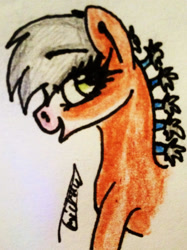 Size: 1508x2016 | Tagged: safe, artist:beamybutt, imported from derpibooru, oc, oc only, earth pony, pony, bust, earth pony oc, eyelashes, female, mare, open mouth, smiling, solo, traditional art