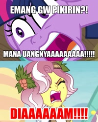 Size: 1831x2289 | Tagged: safe, edit, edited screencap, imported from derpibooru, screencap, twilight sparkle, vignette valencia, alicorn, pony, a trivial pursuit, equestria girls, equestria girls series, rollercoaster of friendship, angry, female, indonesia, indonesian, mare, meme, rage, ragelight sparkle, this is trivia trot, translated in the comments, translation request, twilight sparkle (alicorn), yelling