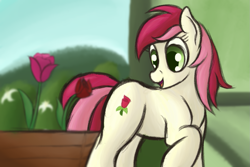 Size: 1125x750 | Tagged: safe, artist:ahorseofcourse, roseluck, earth pony, pony, cute, cutie mark, female, flower, mare, open mouth, raised hoof, rose, smiling, solo, tulip