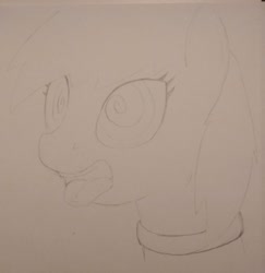 Size: 1702x1753 | Tagged: artist needed, safe, oc, oc only, oc:zephyr, pony, brown background, collar, female, hypno eyes, hypnosis, hypnotized, mare, monochrome, open mouth, pencil drawing, pony pet, simple background, sketch, solo, solo female, tongue out, traditional art