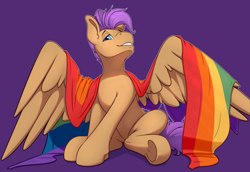 Size: 1970x1356 | Tagged: safe, artist:ailoy4, imported from derpibooru, oc, oc only, oc:bulwark, pegasus, pony, frog (hoof), gay pride, gay pride flag, lidded eyes, looking at you, male, pegasus oc, pride, pride flag, purple background, rainbow flag, simple background, sitting, smiling, smiling at you, solo, spread wings, stallion, underhoof, wings