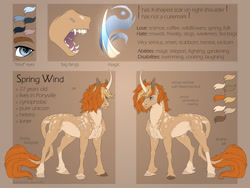 Size: 1920x1440 | Tagged: safe, artist:dementra369, imported from derpibooru, pony, unicorn, reference sheet, solo