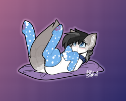 Size: 2500x2000 | Tagged: safe, artist:lionbun, artist:lionbun1, imported from derpibooru, cat, cat pony, original species, clothes, collar, commission, cute, high res, lying down, on back, patreon, patreon reward, socks