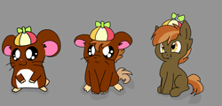 Size: 1343x645 | Tagged: safe, artist:edwardhamham, imported from derpibooru, button mash, oc, oc:edward, earth pony, hamster, pony, character to character, hamtaro, hat, non-mlp oc, propeller hat, transformation, transformation sequence