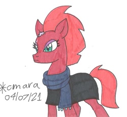 Size: 987x910 | Tagged: safe, artist:cmara, imported from derpibooru, fizzlepop berrytwist, tempest shadow, pony, unicorn, broken horn, clothes, eye scar, female, horn, mare, robe, scar, scarf, simple background, solo, traditional art, white background