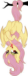 Size: 1349x3675 | Tagged: safe, artist:missbramblemele, artist:missmele-madness, imported from derpibooru, fluttershy, bat pony, pony, bat ponified, behaving like a bat, flutterbat, prehensile tail, race swap, simple background, solo, tail hold, transparent background, upside down, watermark